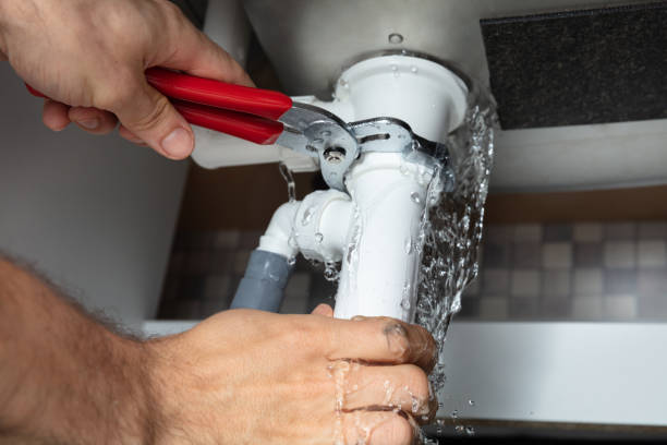 Best Water damage restoration cost  in Anchor Point, AK