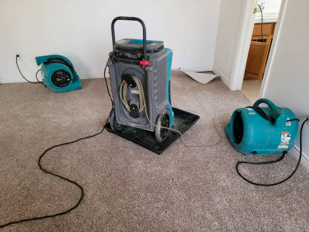 Best Local water damage restoration  in Anchor Point, AK