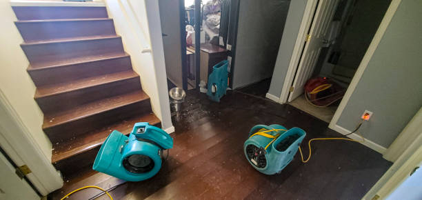 Best Water damage restoration specialists  in Anchor Point, AK
