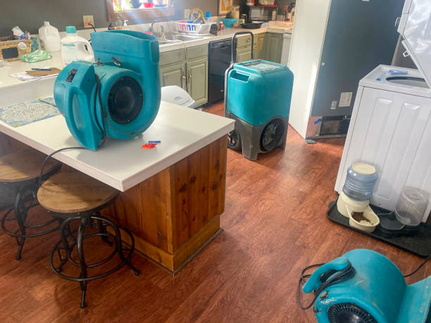Best Sewage cleanup and water damage restoration  in Anchor Point, AK