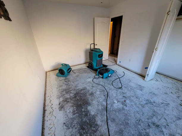 Water damage restoration process in AK