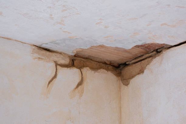 Best Flood damage cleanup  in Anchor Point, AK